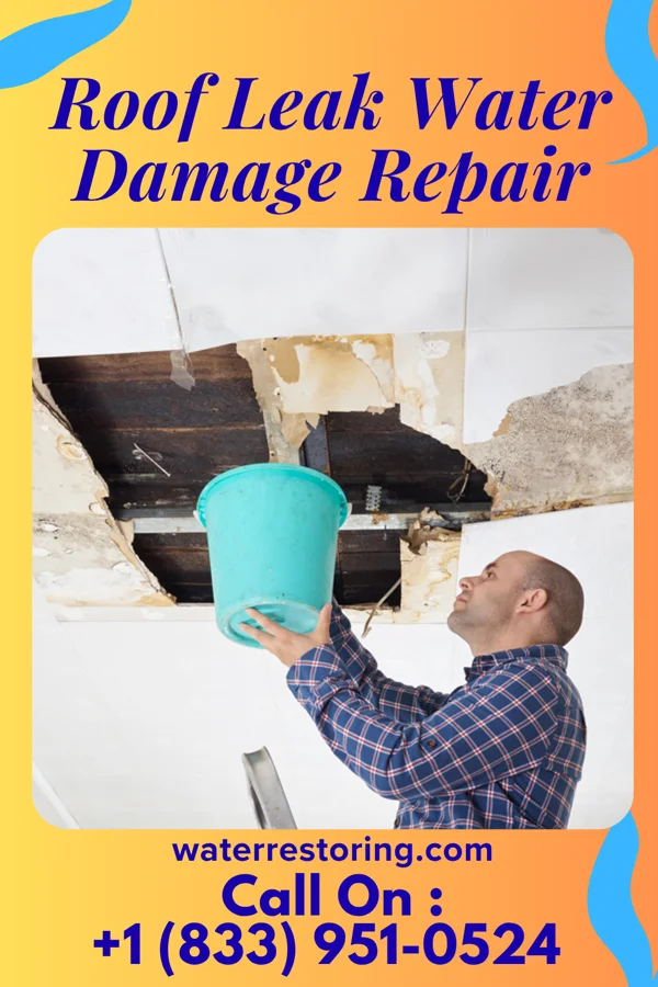Roof Leak Water Damage Repair in Bicknell, UT